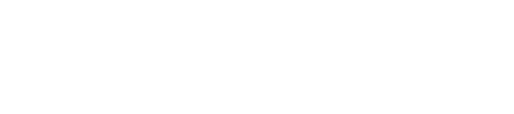 logo Co-funded by the European Union